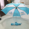 Blue and White Polyester 2 Fold Umbrella 62.2 cm-jmdenterprises.co.in